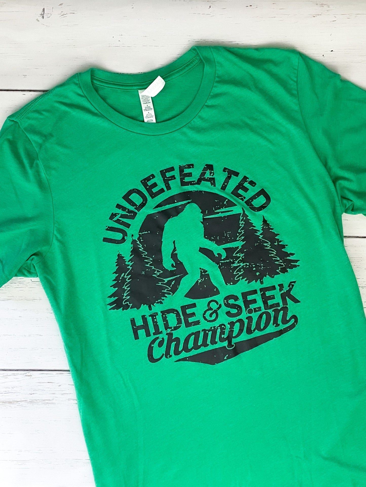 Hide and Seek CLEARANCE T-shirt